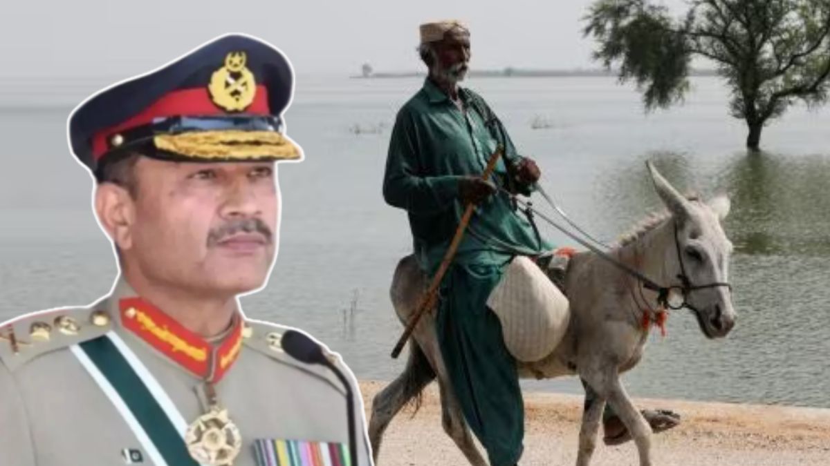 The price Pakistanis will pay for Pakistan's oversized defence budget The price Pakistanis will pay for Pakistan's oversized defence budget