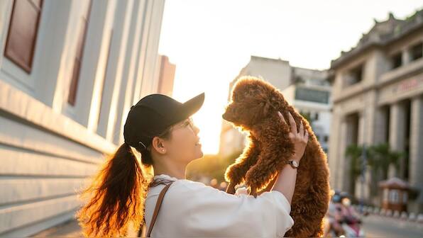 Do dog owners look like their pets?