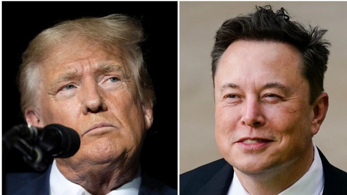 Signs of thaw in Musk-Trump feud, White House says Tesla boss has 'a right to...'