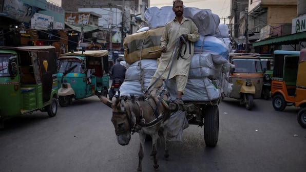 China is obessesing over Pakistan’s donkeys. Here’s how it is hurting the poor