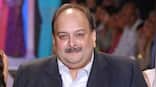 What's next for Mehul Choksi after Belgium has cleared his extradition?