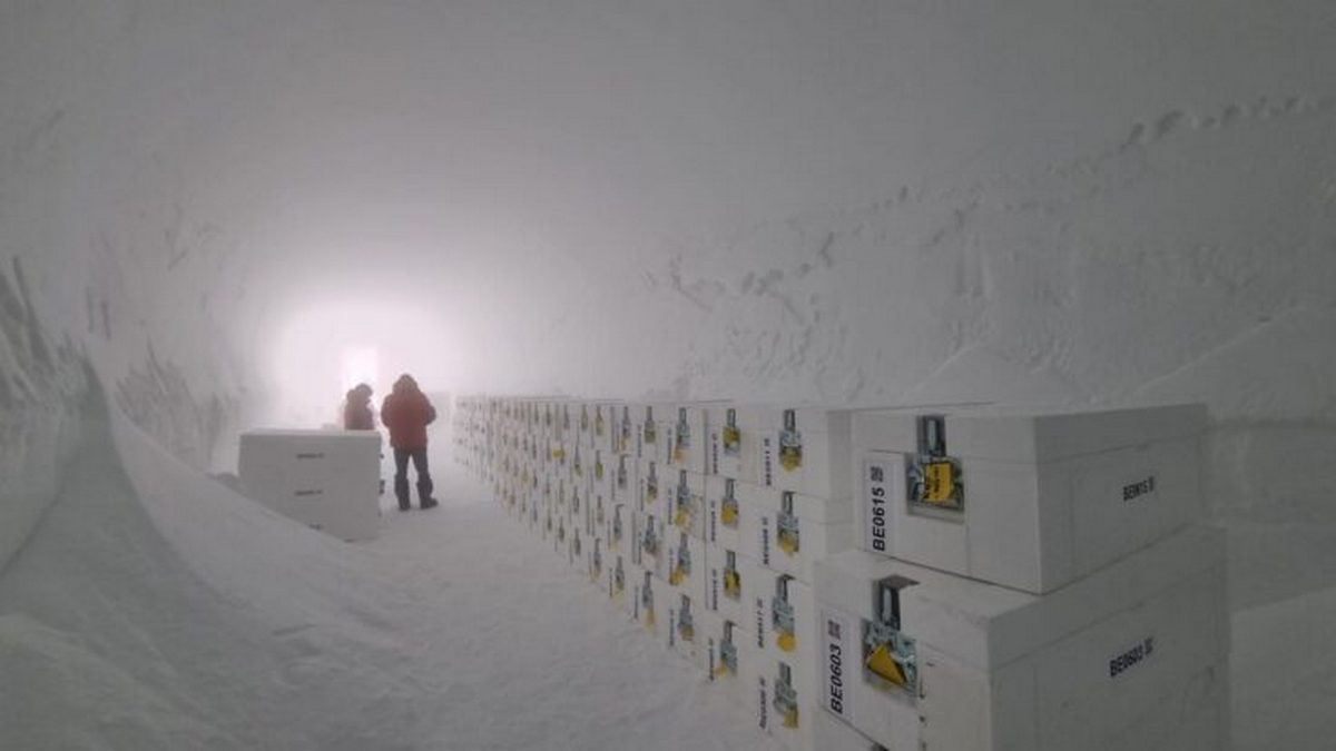 Why 1.5-million-yr old ice is set to be melted in the UK Why 1.5-million-yr old ice is set to be melted in the UK