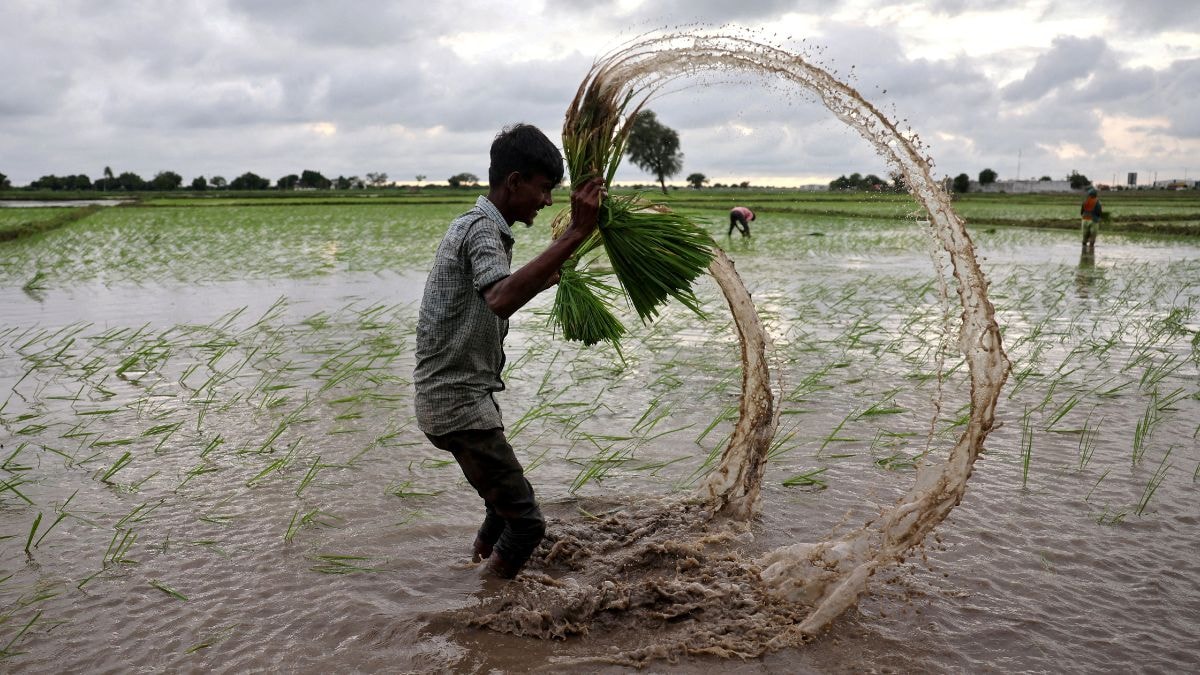 What happens if nuclear war strikes? Sun blocked, crops fail, famine unleashed