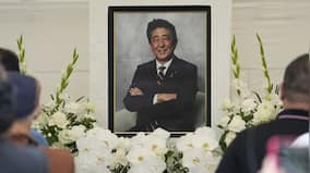 'Everything is true': Shinzo Abe's killer pleads guilty to assassination