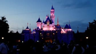 Disneyland was Walt Disney's dream project through which he wanted to change the way traditional amusement parks were enjoyed. Representational image/Reuters 