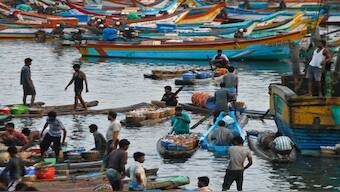 The Sri Lankan side has indicated a willingness to allow a limited number of southern Tamil Nadu fishers from India if and only if they give up their bottom trawlers and purse seine nets. Representational image: REUTERS 