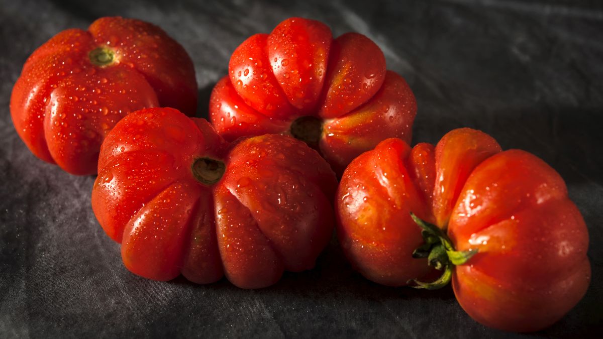 'Unfair trade practices': US slaps 17% duty on Mexican fresh tomatoes 'Unfair trade practices': US slaps 17% duty on Mexican fresh tomatoes