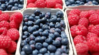 It is important to keep fresh fruits and nuts handy for when you get hungry. Pixabay