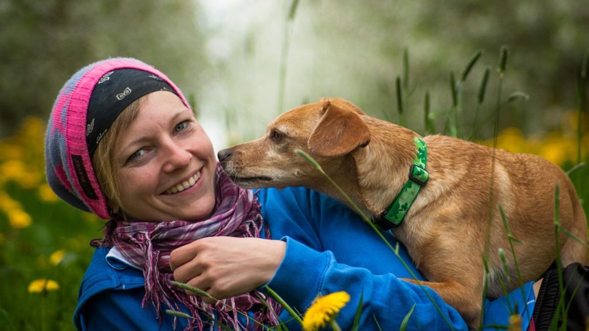 Several reports suggest that pet dogs can help their humans feel less stressed. Pixabay Several reports suggest that pet dogs can help their humans feel less stressed. Pixabay