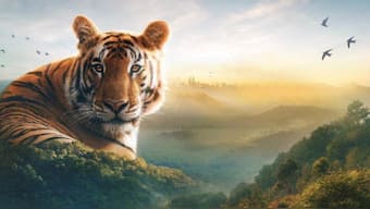 Sir David Attenborough's 'Asia' - Here's everything you need to know about the series that premiered on July 18