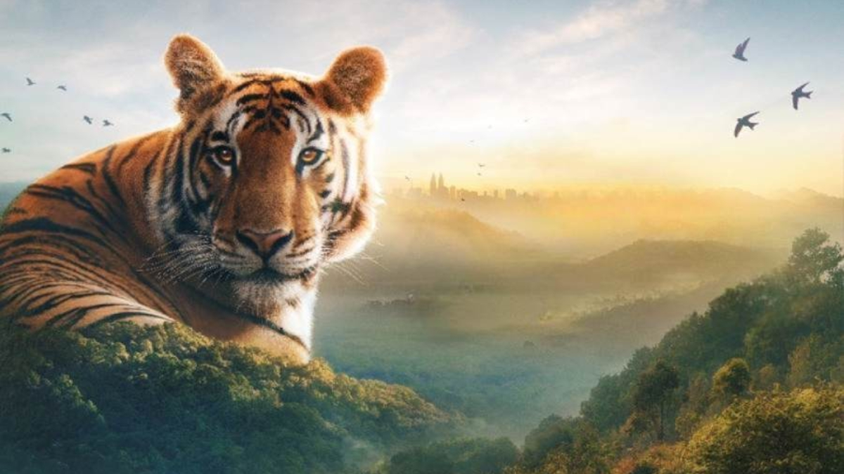 Sir David Attenborough's 'Asia' - Here's everything you need to know about the series that premiered on July 18 Sir David Attenborough's 'Asia' - Here's everything you need to know about the series that premiered on July 18