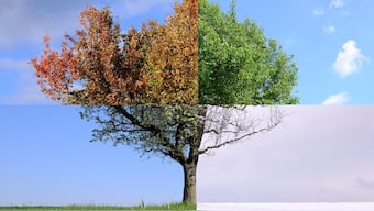 While Earth has two new seasons, study also points out that some traditional seasons are simply fading away. Image for Representation. Pixabay