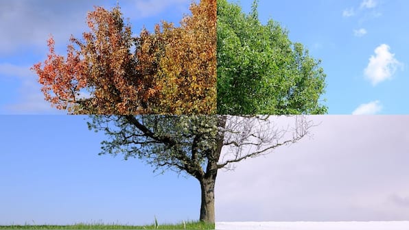 Spring, summer, trash, haze? Why Earth’s new seasons should worry us