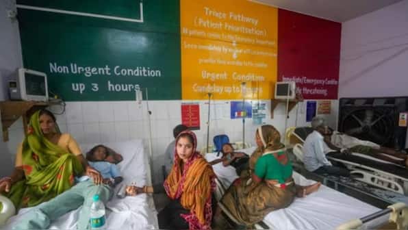 Barabanki temple stampede: Monkeys cause mayhem, 2 dead; CM Yogi expresses grief