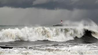 Image shared by Russian media on X