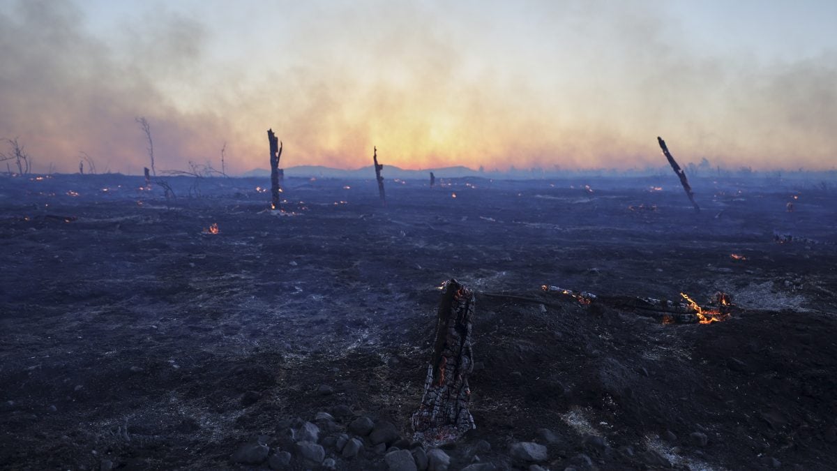 Fires rage across Greece’s suburbs and islands amid heatwave; Government seeks EU help