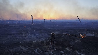 Blazes burn trees during a wildfire, in the northwestern suburb of Kryoneri, in Athens, Greece. AP