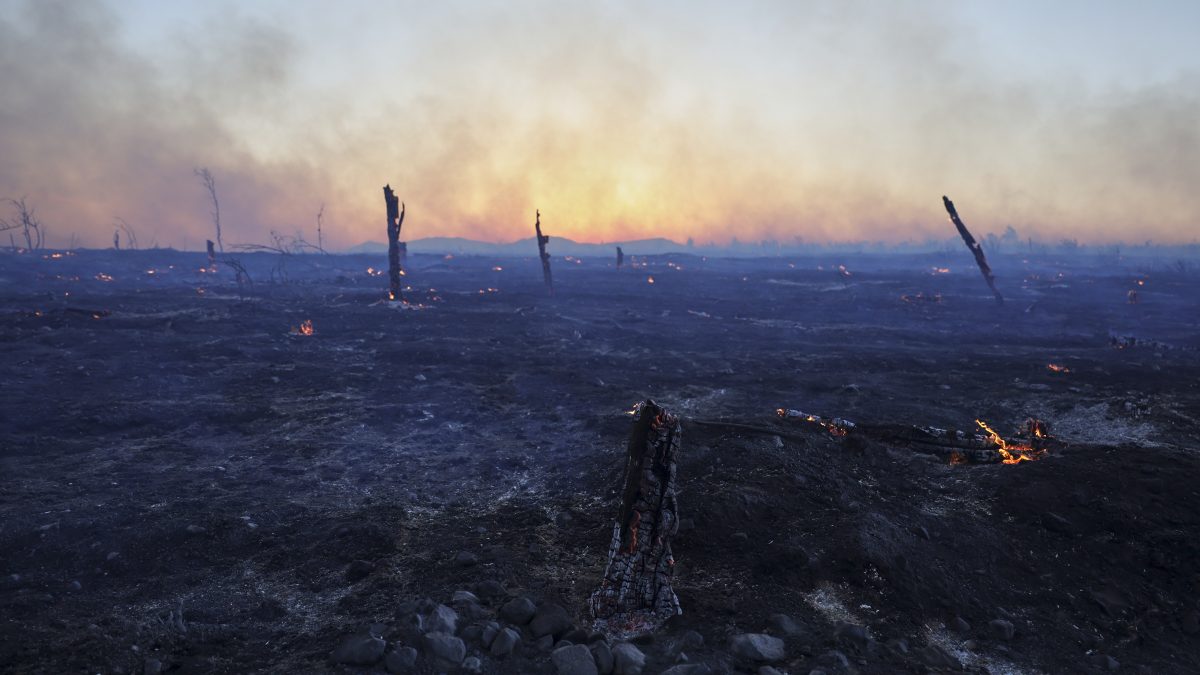 Fires rage across Greece’s suburbs and islands amid heatwave; Government seeks EU help Fires rage across Greece’s suburbs and islands amid heatwave; Government seeks EU help