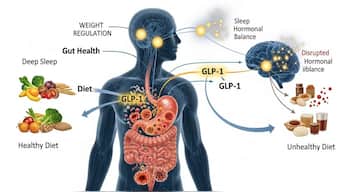 Doctor explains: How diet, sleep and gut health impact GLP-1 and weight regulation