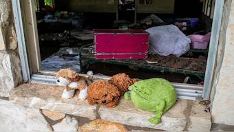 Stuffed animals sit in a windowsill at Camp Mystic after a deadly flooding in Kerr County, Texas, US. Reuters