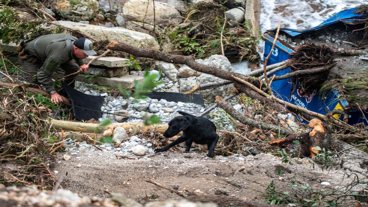 A search dog operates at Camp Mystic after deadly flooding in Kerr County, Texas. Reuters A search dog operates at Camp Mystic after deadly flooding in Kerr County, Texas. Reuters
