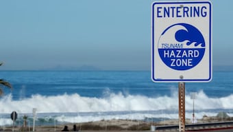 Soon after tsunami warnings were issued for the US West Coast and Hawaii, the Consulate General of India in San Francisco put out an advisory for Indian citizens living in affected regions. Image for Representation. Reuters