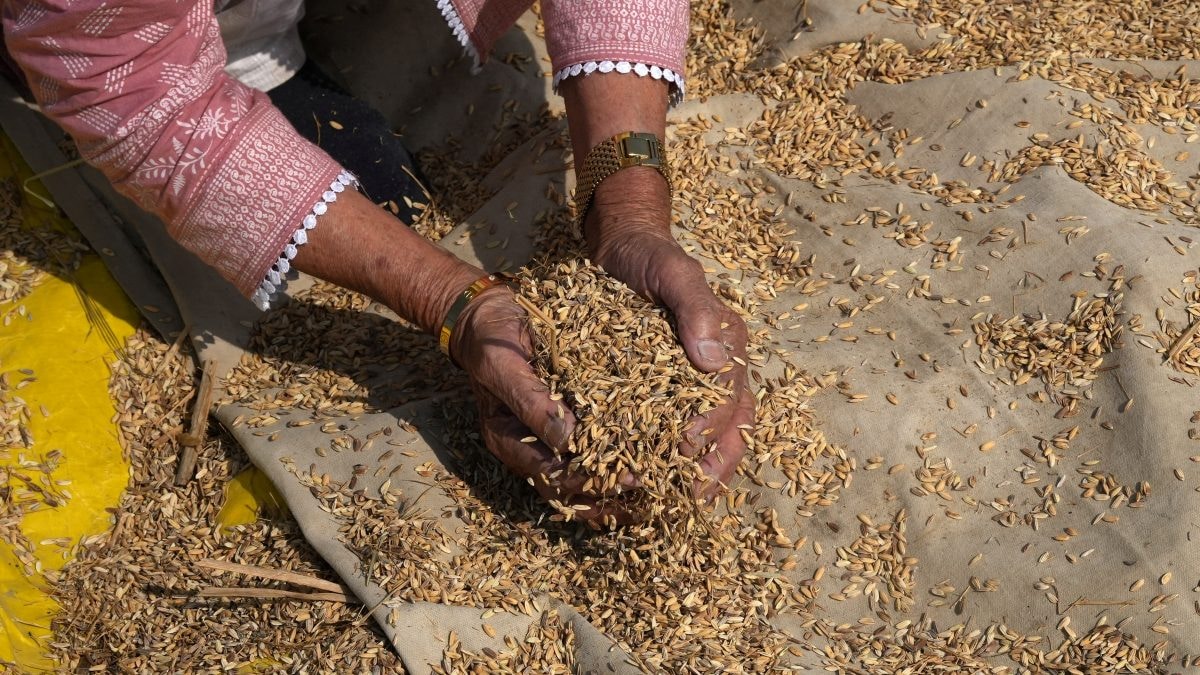 India eyes biggest rice market Philippines as new export destination, delegation to visit next month