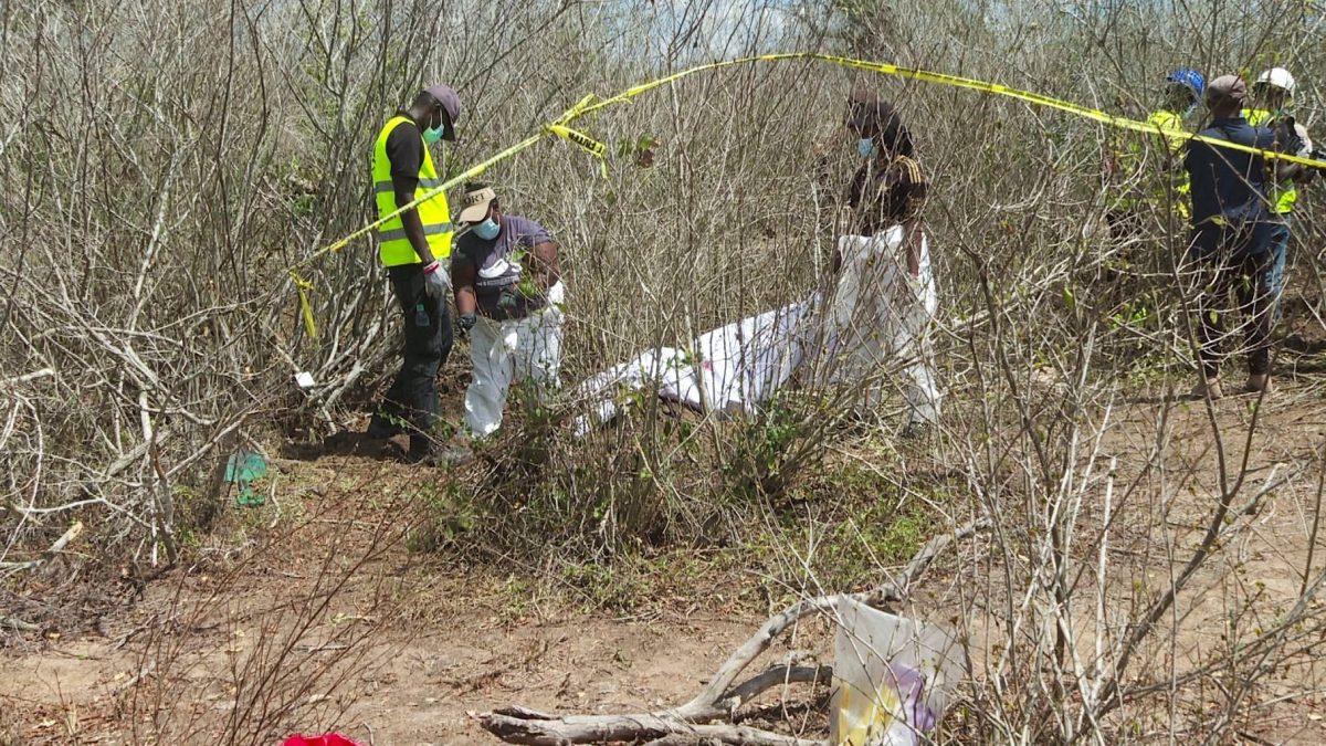 Kenya: 32 bodies unearthed in Kwa Binzaro amid doomsday cult investigation