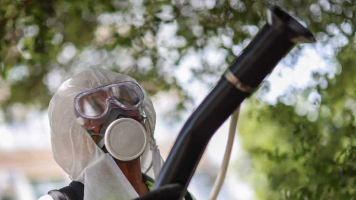 China and Hong Kong Deploy AI Surveillance to Fight Mosquito-Borne Diseases