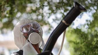 A worker sprays insecticide at a public housing estate following reports of imported cases of Chikungunya in Hong Kong. Reuters