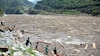 Pakistan flood tragedy: Rescuers race against time as death toll climbs past 340