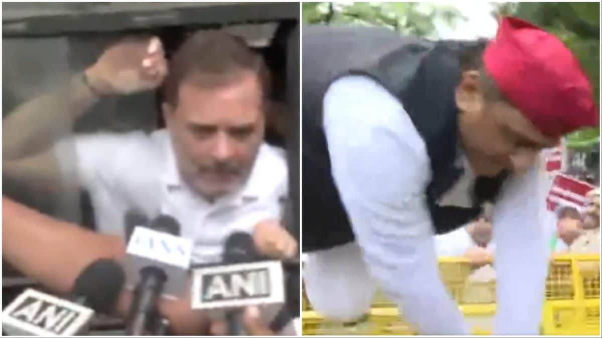 High drama over EC's SIR: Rahul Gandhi detained, Akhilesh Yadav jumps police barricade