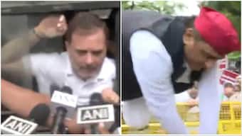High drama over EC's SIR: Rahul Gandhi detained, Akhilesh Yadav jumps police barricade