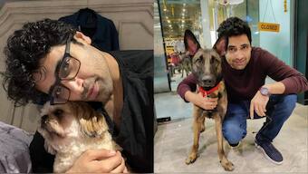 G2 actor Adivi Sesh appeals to Honorable Chief Justice of India & Delhi Chief Minister against Mass Confinement of street dogs