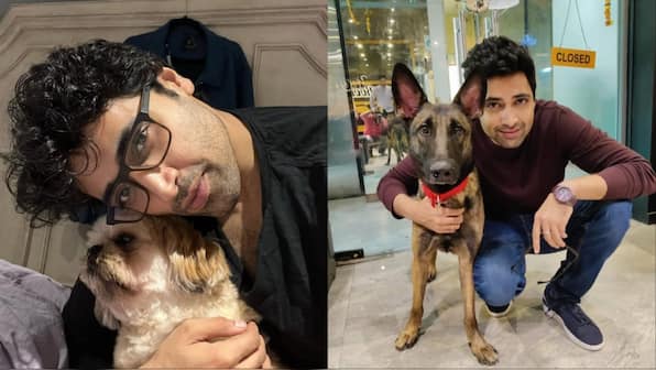 G2 actor Adivi Sesh appeals to Honorable Chief Justice of India & Delhi Chief Minister against Mass Confinement of street dogs