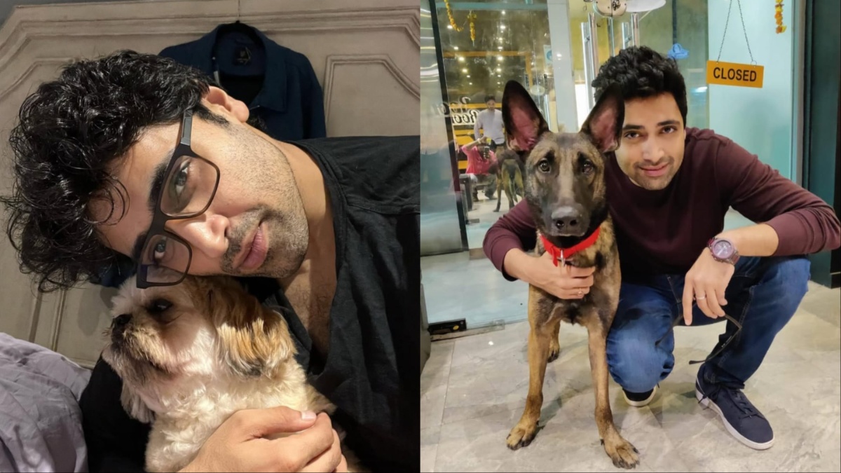 G2 actor Adivi Sesh appeals to Honorable Chief Justice of India & Delhi Chief Minister against Mass Confinement of street dogs G2 actor Adivi Sesh appeals to Honorable Chief Justice of India & Delhi Chief Minister against Mass Confinement of street dogs