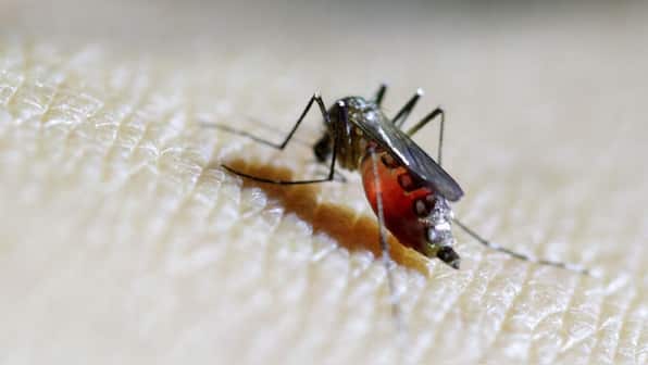 Covid-style measures, drones and more... Inside China's efforts to battle Chikungunya outbreak