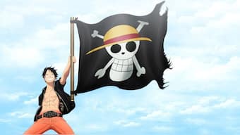 Since premiering in 1999, One Piece has grown into a worldwide sensation, boasting more than 1,000 episodes, over 500 million manga volumes sold, and distribution across more than 80 countries. Representational Image