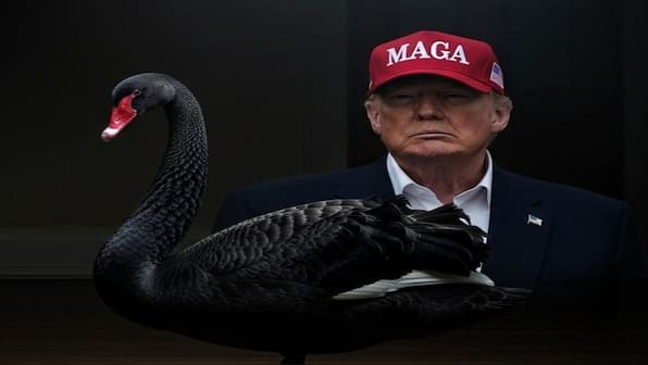 Trump is the new Black Swan—and this may herald the end of the American empire
