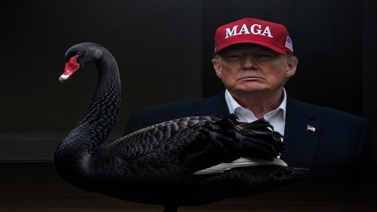Trump is the new Black Swan—and this may herald the end of the American empire Trump is the new Black Swan—and this may herald the end of the American empire