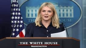 California crash: White House slams Democrat-ruled state for issuing licenses to 'criminal illegal aliens'