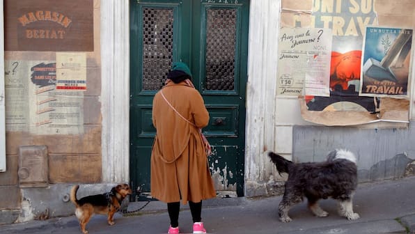 ‘When Paris removed stray dogs’: What happened in the French capital in the 1880s?