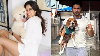 Janhvi Kapoor, Varun Dhawan and other Bollywood stars condemn Supreme Court's order on stray dogs