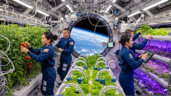 Growing greens in space has become a top priority for scientists. Here's why. Representational image/AI-generated