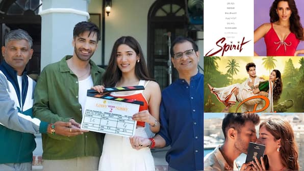 Triptii Dimri & Prabhas' 'Spirit', Alia Bhatt and Sharvari's 'Alpha', Medha Shankr's 'Ginny Weds Sunny 2,': Films to look forward to in 2025-2026