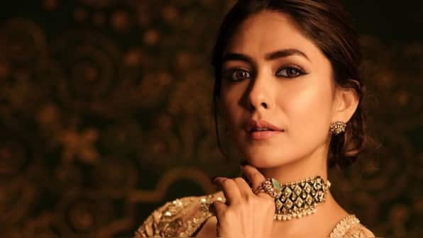 When 'Son Of Sardaar 2' actress Mrunal Thakur opened up on her passion for photography: ' I didn't have the finances or the guts to...'