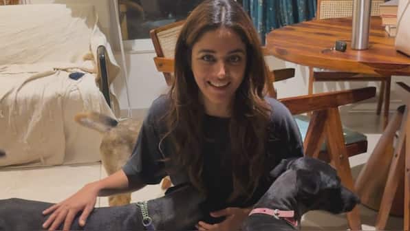 Netflix's 'Khufiya' actress Wamiqa Gabbi speaks out on stray dog rights amid Supreme Court order: 'These little souls once roamed the streets...'