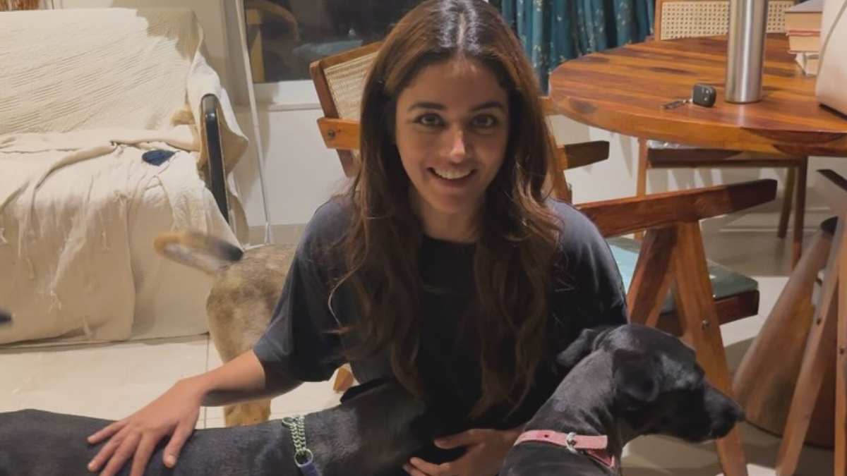 Netflix's 'Khufiya' actress Wamiqa Gabbi speaks out on stray dog rights amid Supreme Court order: 'These little souls once roamed the streets...' Netflix's 'Khufiya' actress Wamiqa Gabbi speaks out on stray dog rights amid Supreme Court order: 'These little souls once roamed the streets...'
