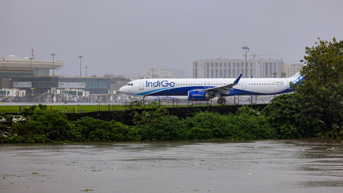 IndiGo picks ex-British Airways chief William Walsh as new CEO IndiGo picks ex-British Airways chief William Walsh as new CEO