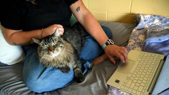 Pet-friendly dorms require colleges to consider things like safety concerns, noise complaints. AP
